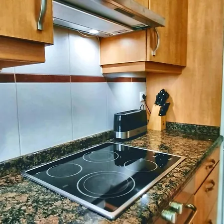 Fluvial Vut-5384-as 3hab-2banos-ascensor-parking Coche Grande Gratis-wifi ヒホン
